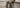 Is Heavy Cotton Cargo Pants Worth It? A 2026 Review